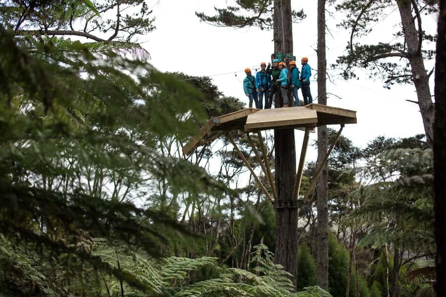 Coromandel: Guided Zipline Tour Experience - Getting kitted: safety gear, wet weather gear, and a real briefing