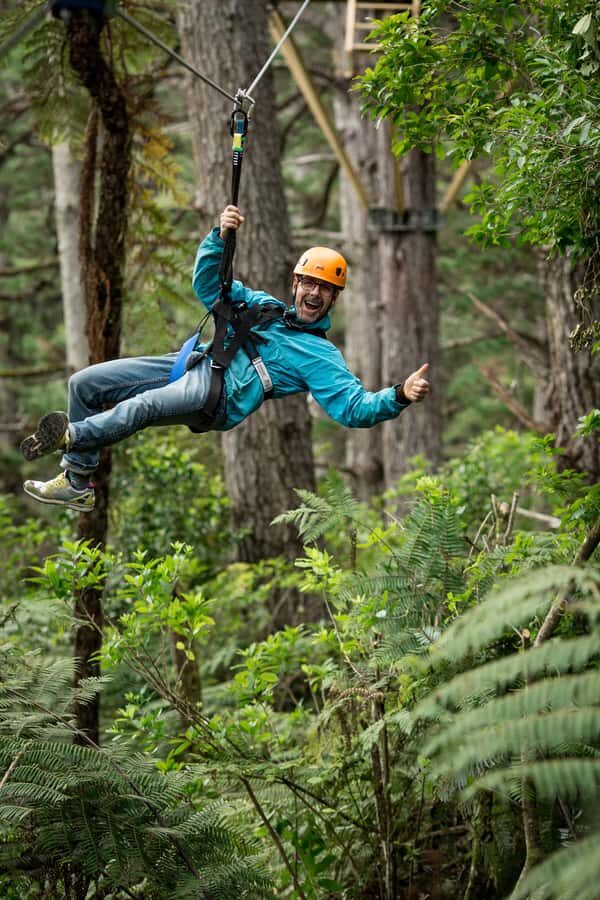Coromandel: Guided Zipline Tour Experience - 8 ziplines over native forest: heights, distance, and pacing