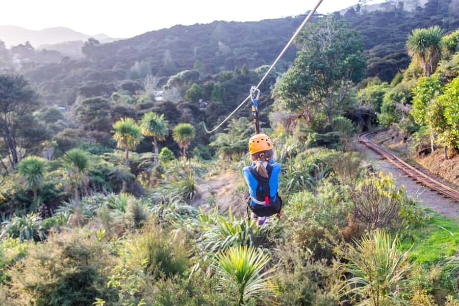 Coromandel: Guided Zipline Tour Experience - Weather reality: rain doesn’t have to ruin your day