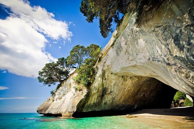 Coromandel Peninsula Discovery - Private Tour From Auckland - Coffee and Comfort Stops at Ngatea and Whangamatā
