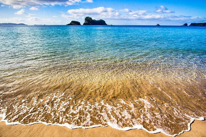 Coromandel Peninsula Discovery - Private Tour From Auckland - Hahei’s Hot Waves Café: Your Included Picnic Lunch Break