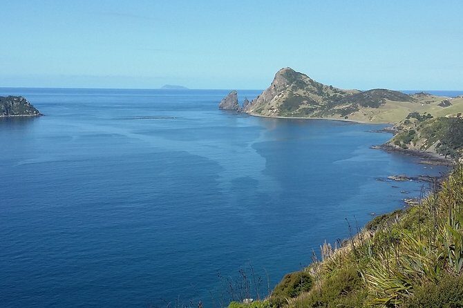 Coromandel Peninsula Discovery - Private Tour From Auckland - Hot Water Beach: Dig Your Own Warm-Water Hot Tub