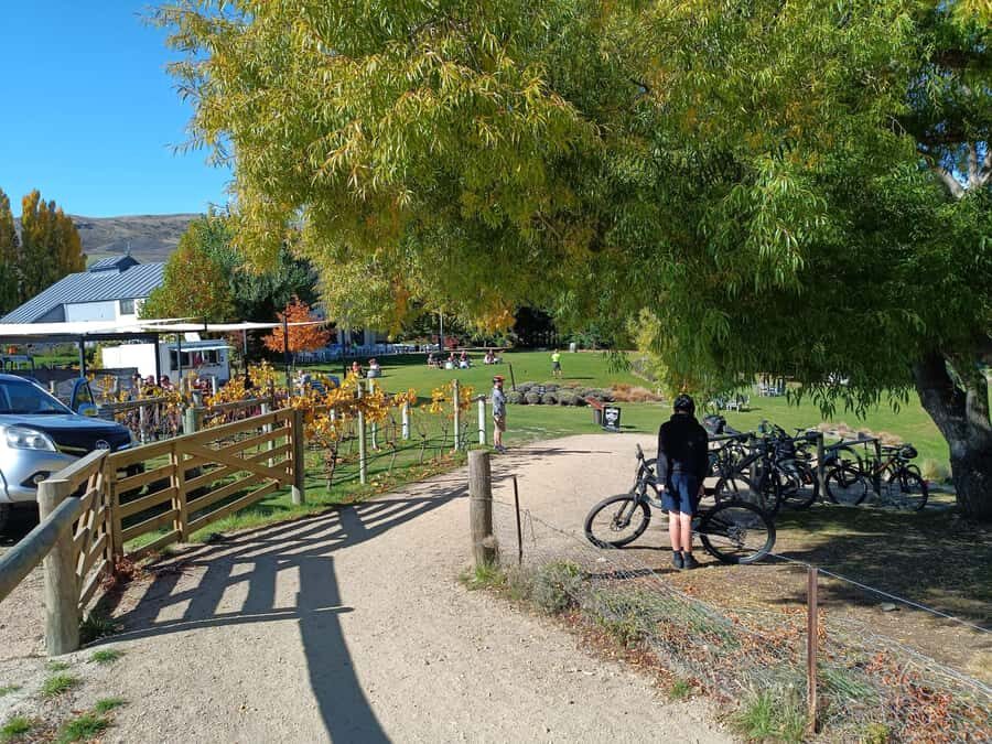 Cromwell: Lake Dunstan Trail Bike Rental and Luxury Shuttle - E-bike vs gravel: tackling the two 150m climbs without losing the day
