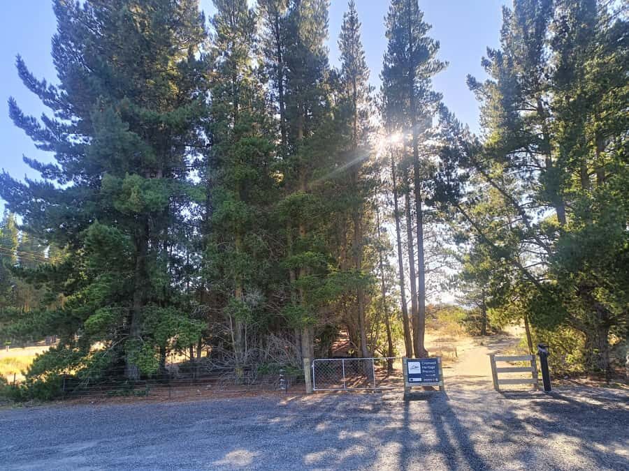 Cromwell: Lake Dunstan Trail Bike Rental and Luxury Shuttle - Price and value: what $107 per person really covers