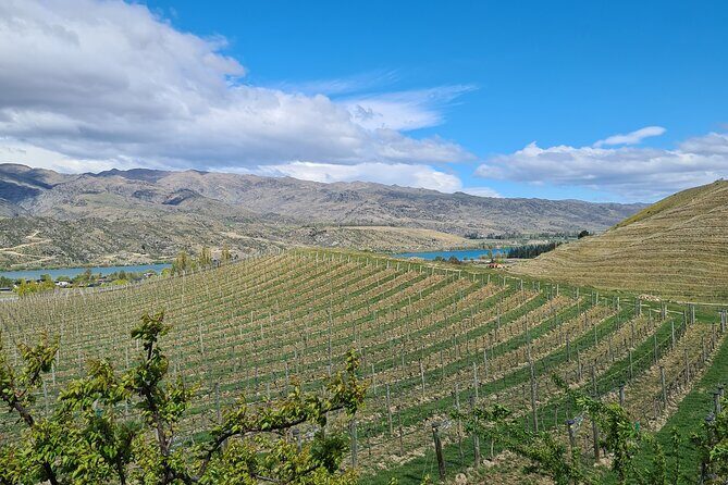 Cromwell Wine Tasting Tour using Classic Car - Stop 1: Central Otago, where the tasting time actually happens