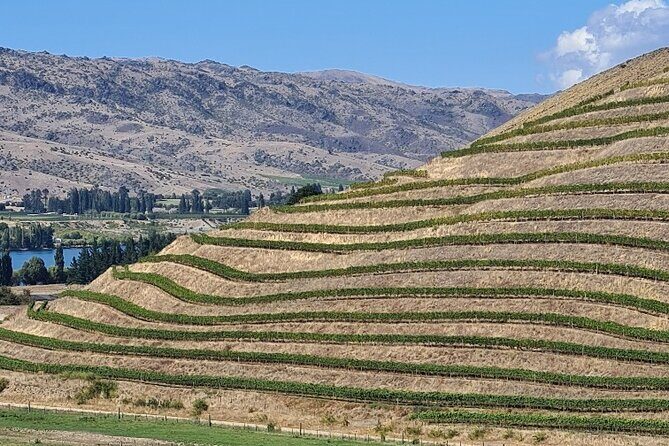 Cromwell Wine Tasting Tour using Classic Car - Value check: what you’re paying for at $217.20 per person