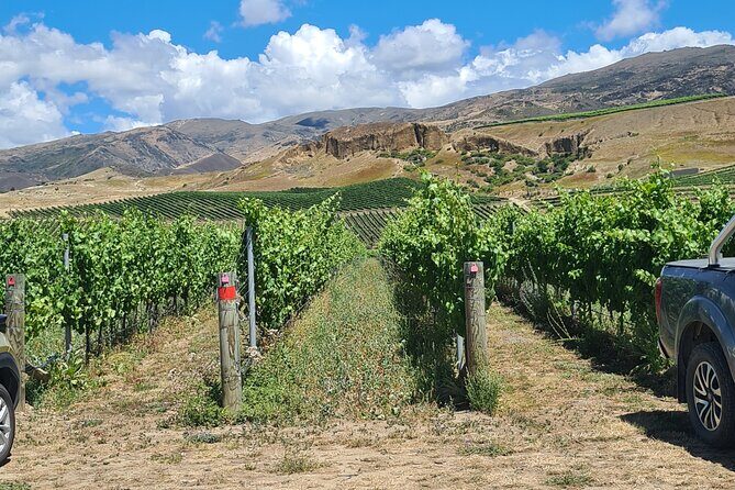 Cromwell Wine Tasting Tour using Classic Car - Classic Mercedes 300SE transport: small group, less noise, more conversation