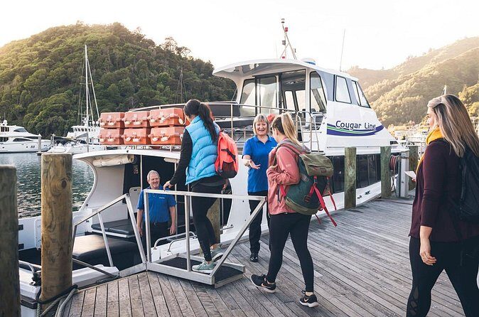 Cruise and Lunch at Furneaux Lodge - Free lodge activities: kayaks, paddle boards, and games