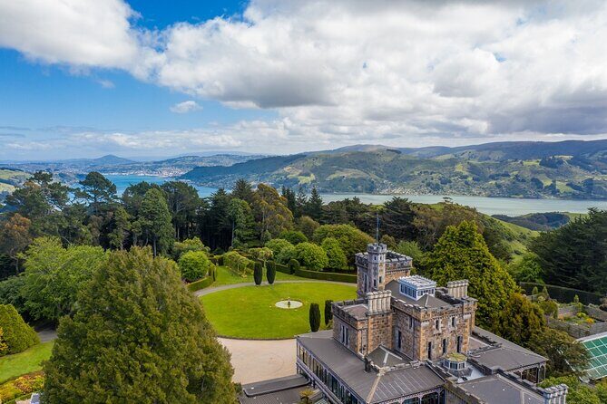Cruise Dunedin City and Castle Tour - Key points to know before you go