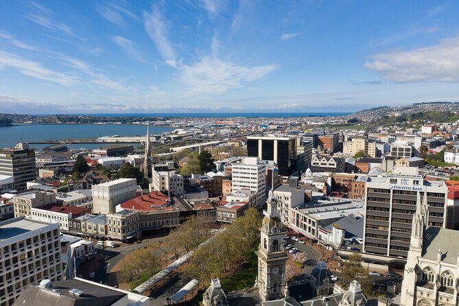 Cruise Dunedin City and Castle Tour - Getting from Port Chalmers to Dunedin City fast (and without stress)