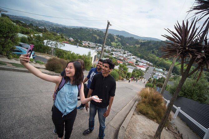 Cruise Dunedin City and Castle Tour - Timing and comfort on a 6.5-hour shore excursion