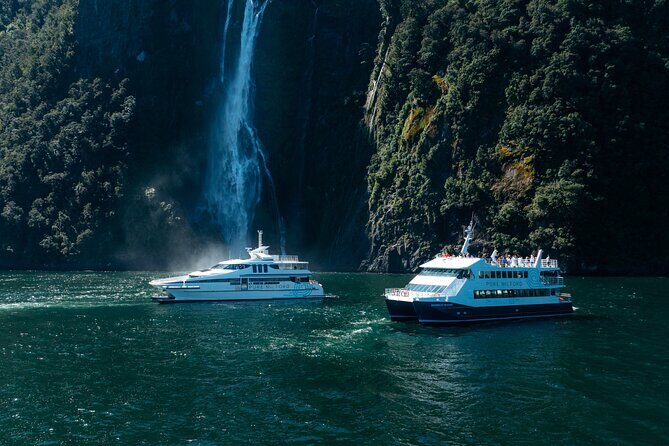 Cruise Milford NZ Small Boutique Cruise Experience - Bring your own food plan (because onboard sales aren’t a thing)