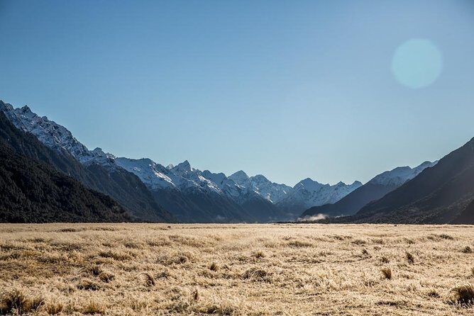 Cruise Milford Small Group Day Tour from Queenstown - Small Mercedes Sprinter comfort: why this ride feels different