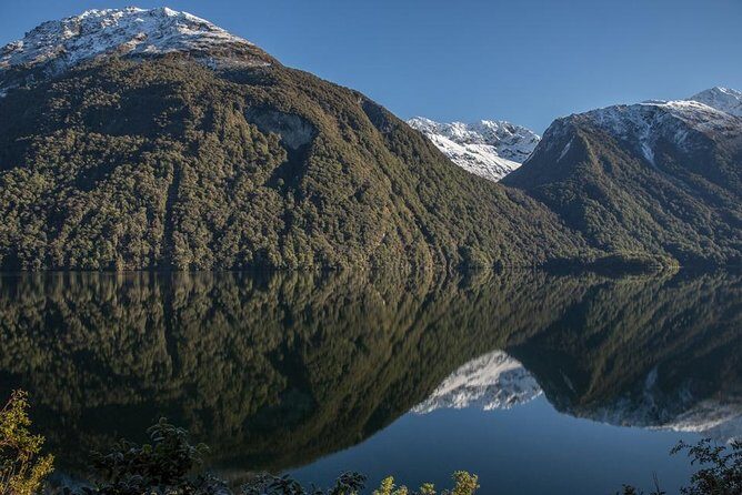 Cruise Milford Small Group Day Tour from Queenstown - Te Anau breaks and Milford Track vibes: where the day turns special