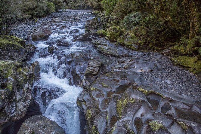 Cruise Milford Small Group Day Tour from Queenstown - Milford Sound by boutique small boat: 1hr 45min that changes with the weather