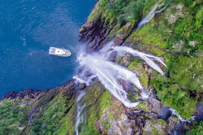 Cruise Milford Small Group Day Tour from Queenstown - Timing, stops count, and how to plan your day like a pro