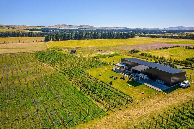 CRUISE SHIP DAY LYTTELTON Hop On Hop Off Wine Tours to Waipara - Price and value: what $80.36 actually covers