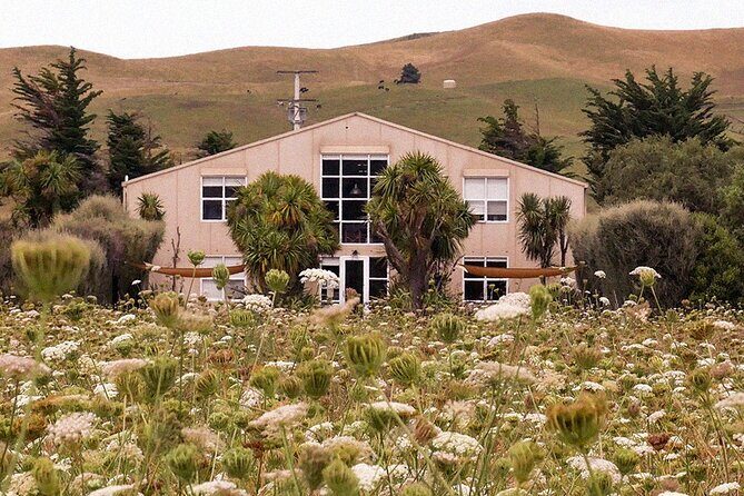 CRUISE SHIP DAY LYTTELTON Hop On Hop Off Wine Tours to Waipara - Food and beer stops: where the day keeps its balance