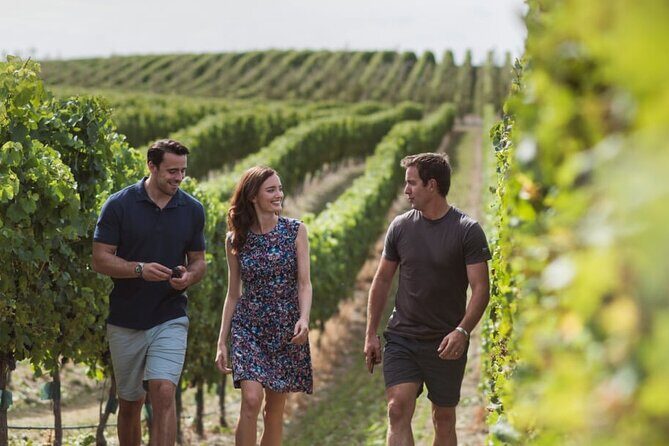 CRUISE SHIP DAY Marlborough Hop On Hop Off Wine Tours - Beer, gin, and pubs: 42 Alfred Street, Moa, and classic tavern stops