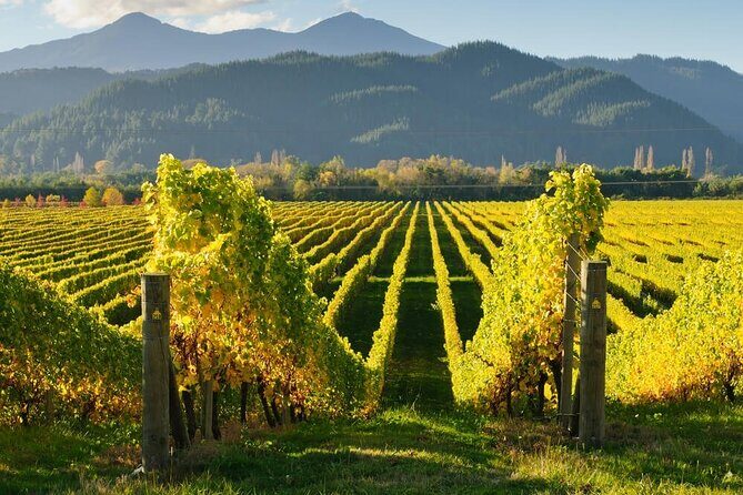 CRUISE SHIP DAY Marlborough Hop On Hop Off Wine Tours - Picking your 3–4 tasting stops: a simple game plan