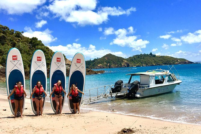Day Cruise & Island Tour - Snorkel/Wildlife/Paddleboard/Islands - Stop 2: Urupukapuka (or Motuarohia/Waewaetorea/Moturua) and the beach hour
