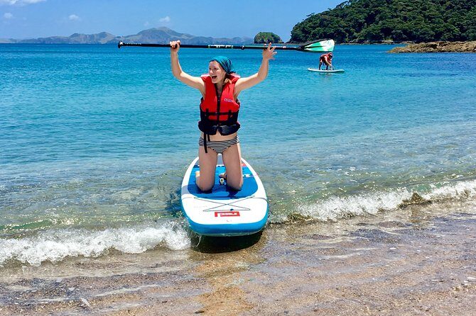 Day Cruise & Island Tour - Snorkel/Wildlife/Paddleboard/Islands - Wildlife spotting and dolphins: exciting, but not guaranteed