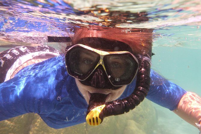 Day Cruise & Island Tour - Snorkel/Wildlife/Paddleboard/Islands - Stop 1: Roberton Island and the hiking-lookout payoff