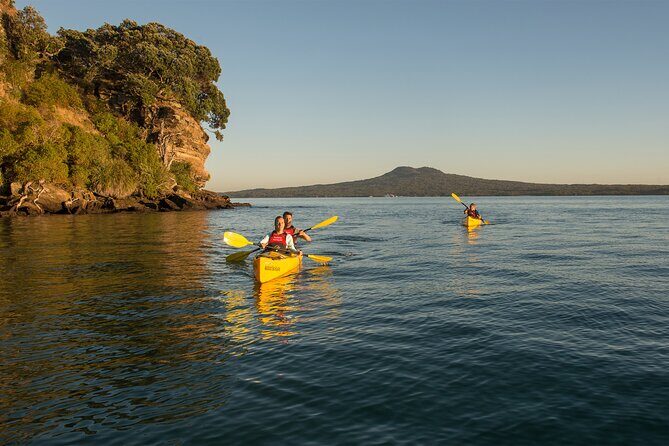 Day sea kayak tour Rangitoto Island - Key highlights worth planning around