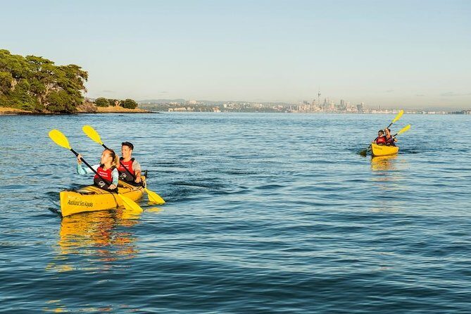 Day sea kayak tour Rangitoto Island - Rangitoto landing and the summit trek to a real 360 view
