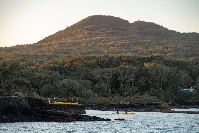 Day sea kayak tour Rangitoto Island - What it feels like in a small group: guides, instruction, and safety culture