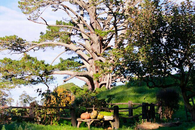 Day Tour Hobbiton + Rotorua from Auckland in Luxury Minibus - Te Puia in Rotorua: Lunch, Māori Arts, and Thermal Reality