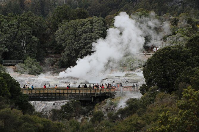 Day Tour Hobbiton + Rotorua from Auckland in Luxury Minibus - Value at $312.77: When the Math Actually Works