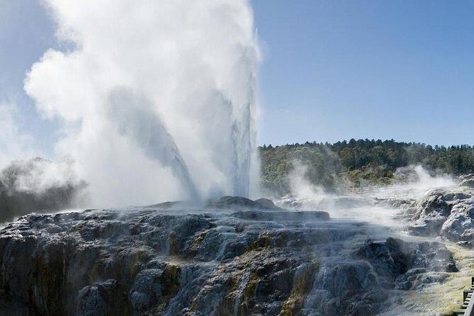 Day Tour Hobbiton + Rotorua from Auckland in Luxury Minibus - The Morning Pickup and the Waikato Scenic Drive