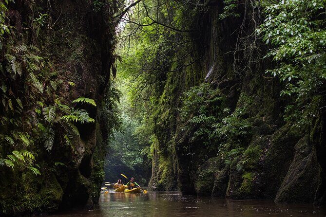 Daytime Canyon Kayak Tour - Key things to know before you go