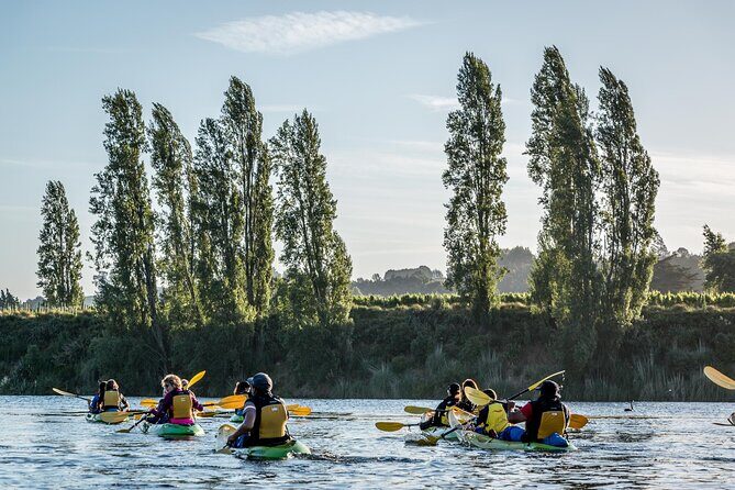 Daytime Canyon Kayak Tour - Who should book this kayaking day tour (and who might skip it)