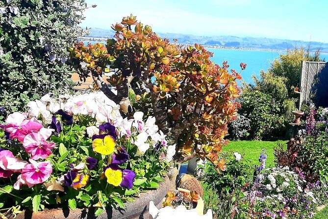 Deco Napier, Te Mata Peak, Garden Walk and Wine Tasting Tour - Starting at Napier iSite: easy meetup, clear start
