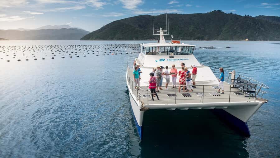 Depart Picton: Marlborough Sounds Afternoon Seafood Cruise - Key things to know before you go
