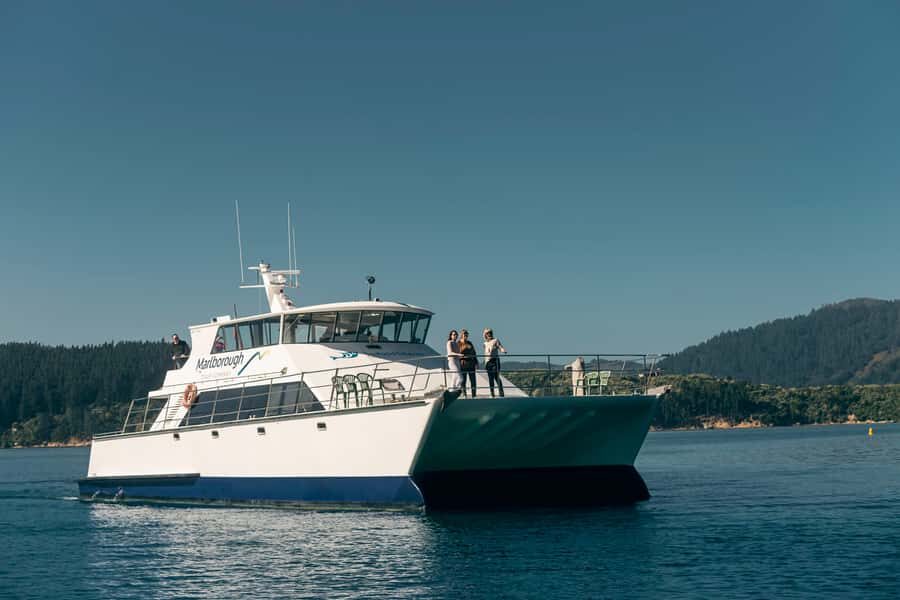 Depart Picton: Marlborough Sounds Afternoon Seafood Cruise - Who should book this Marlborough Sounds seafood cruise?