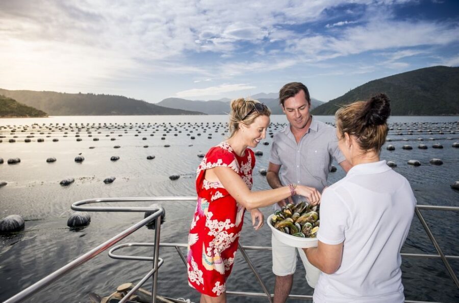 Depart Picton: Marlborough Sounds Afternoon Seafood Cruise - Seafood tasting: what’s included and how to plan around it