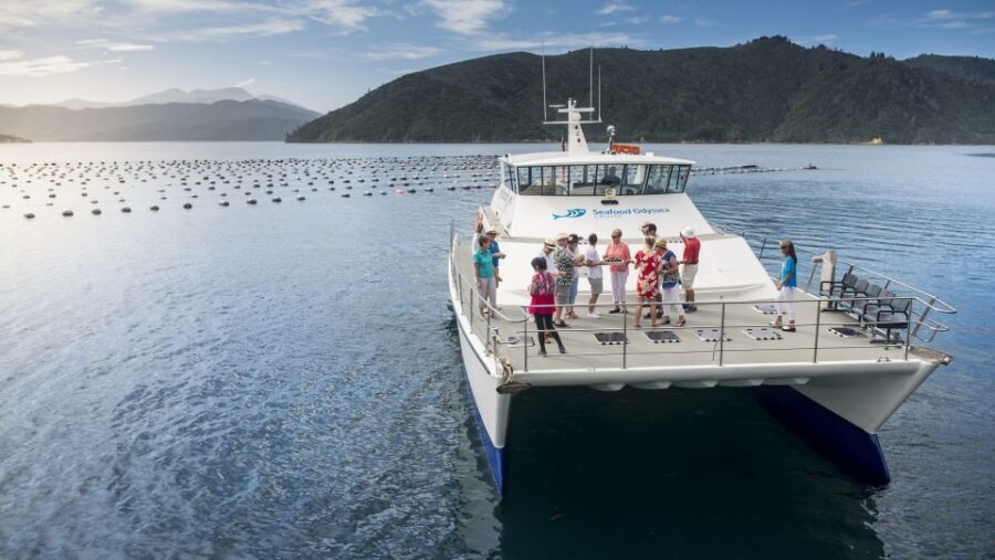 Depart Picton: Marlborough Sounds Afternoon Seafood Cruise - Price and value: does $92 make sense for what you get?