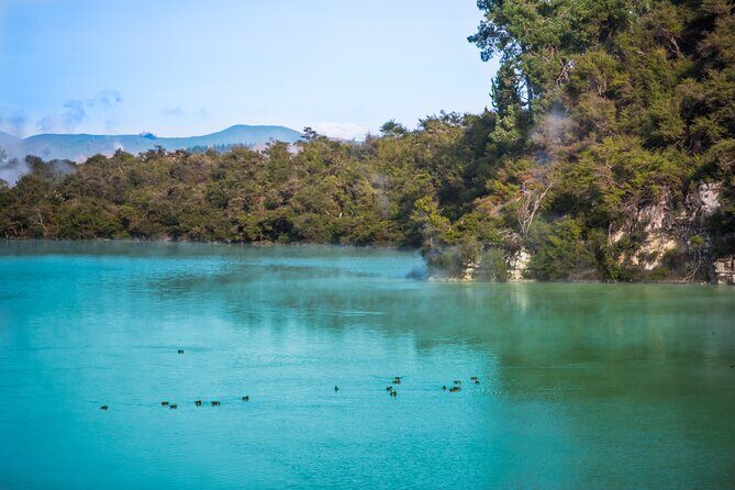 Devil's Bath Experience - Private Tour to Wai-O-Tapu & Lake Taupo - Time, Walking, and What to Wear (So You Don’t Hate It Halfway Through)