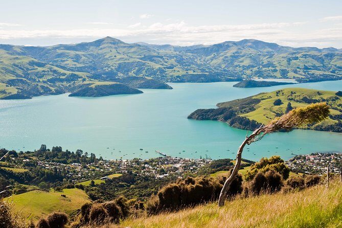 Discover Akaroa: Self Guided Audio Tour - Key things to know before you set off
