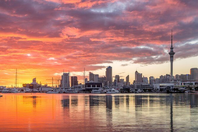 Discover Auckland City Tour: The City of Sails - One Tree Hill (Maungakiekie): The 360 View Stop That Makes Auckland Make Sense