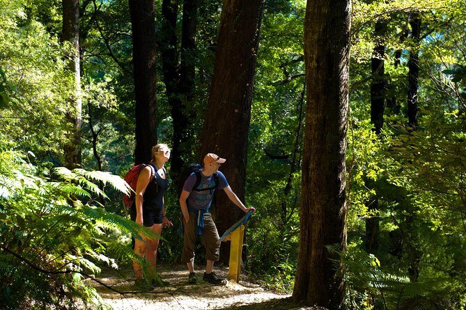 Discover Picton: Self-Guided Audio Tour - How long does it take? Fit it into a 1–3 hour Picton plan