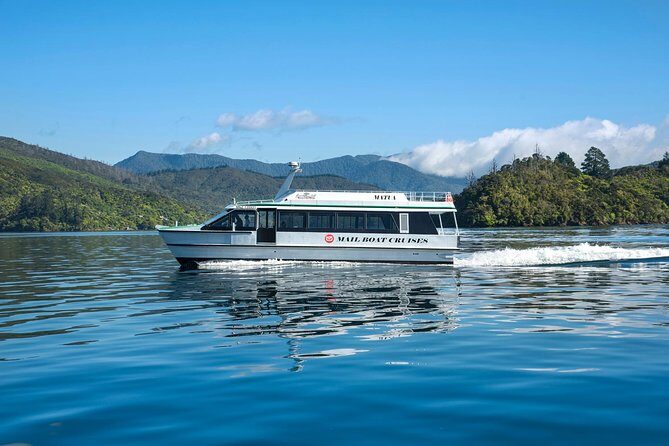 Discover Picton: Self-Guided Audio Tour - Mobile ticket setup and the download reality check