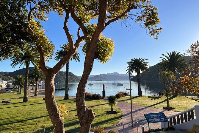 Discover Picton: Self-Guided Audio Tour - Who this self-guided Picton walk is best for