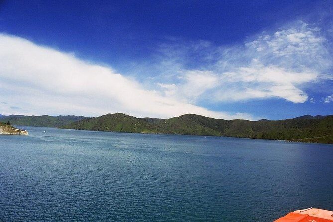 Discover Picton: Self-Guided Audio Tour - Stop 2: Heritage & Whaling Museum Picton and why harpoons changed hunting