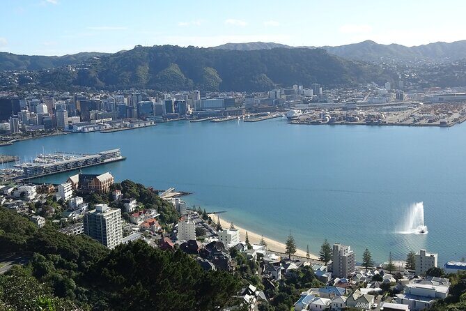 Discover Wellington 3 hour City Tour - Key points worth knowing before you go