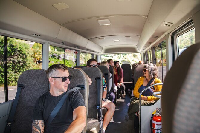 Discover Wellington 3 hour City Tour - Golden Sands beach and the Miramar sign stop: quick, quirky, and scenic