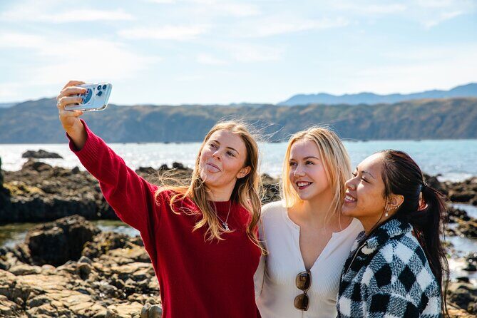 Discover Wellington 3 hour City Tour - Wahine Memorial on the South Coast: big harbour views in 15 minutes